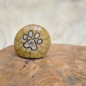 Memorysteentje met pootje