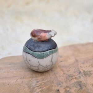 cavia urntje driekleur